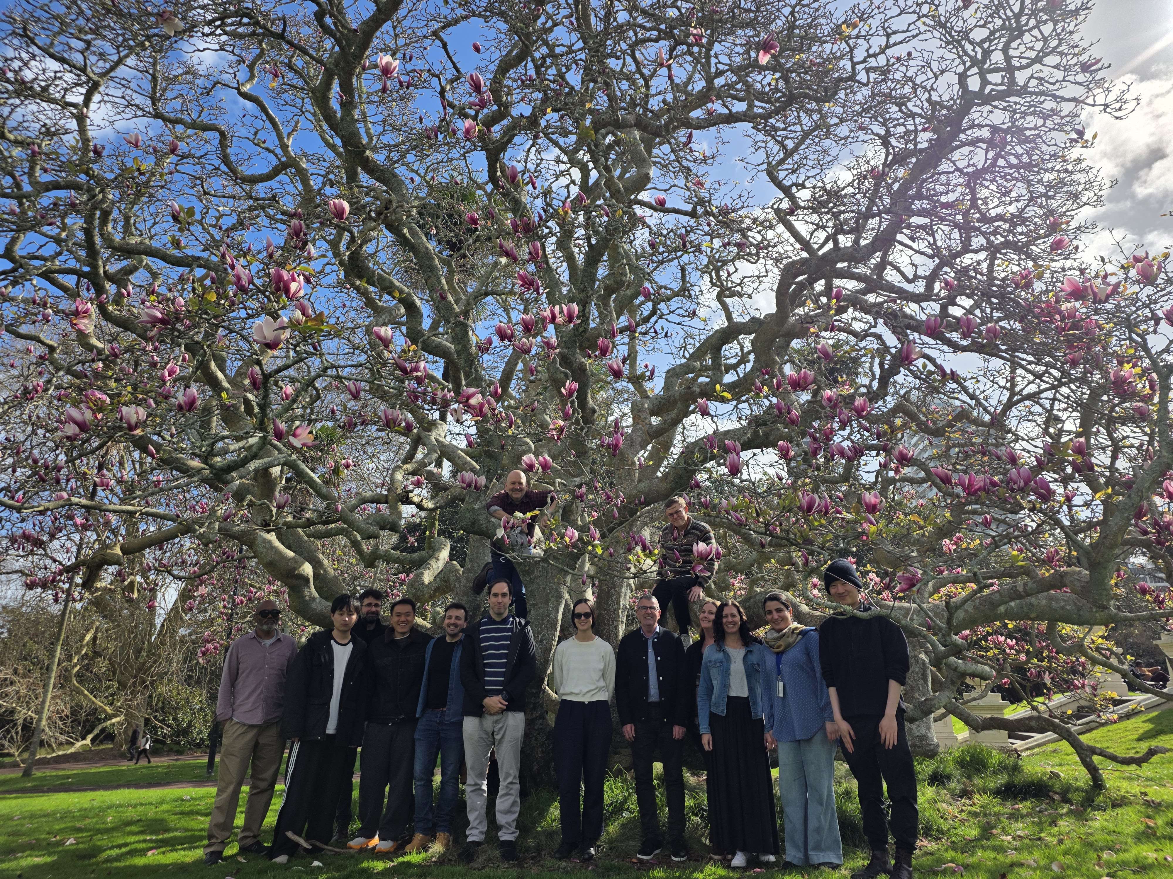 team at Albert Park near the University of Auckland